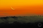 SU9295 Sunrise, fog, and moon Sunrise with moon photo