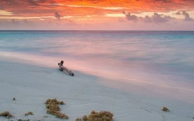 Little Cayman