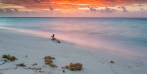 Dawn Twilight at Sand Point, Little Cayman island, Image #SL9580 | Nikon D800, 24-70 f2.8 AFS, polarizer