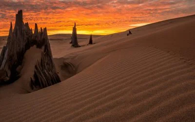 Silver Lake dunes