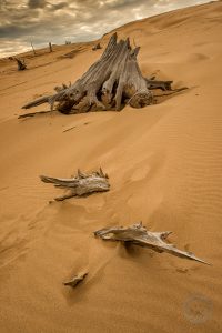 silver lake sand dune landscape photography