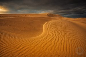 Michigan sand dune lines with passing storm SL9663 Michigan sand dunes photo