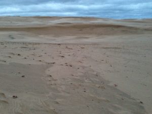 barren landscapes of Silver Lake Dunes in Michigan