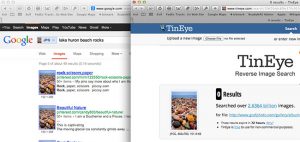 reverse image search