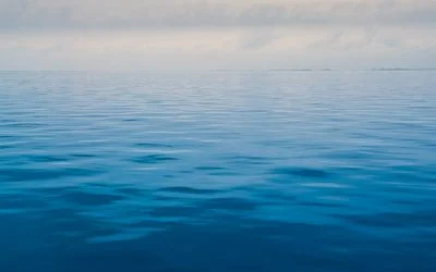 Summer Discovery Cruises
