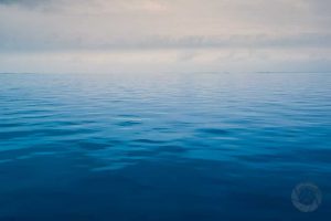 Tranquil morning on Lake St. Clair