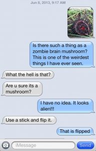 Scientific discovery in process?
