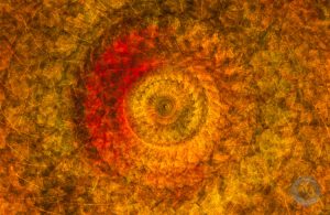 fall leaf abstract © Mark Graf
