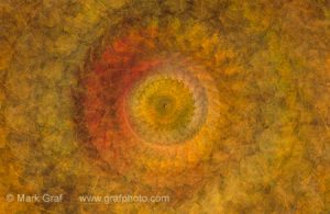 leaf spiral © Mark Graf