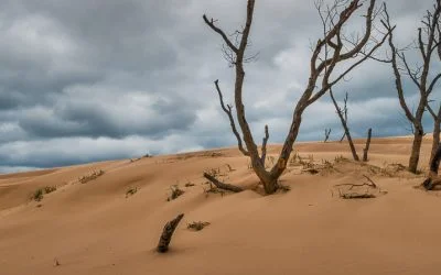 Sands of Time