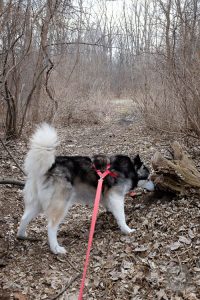 Sniff Stop #1