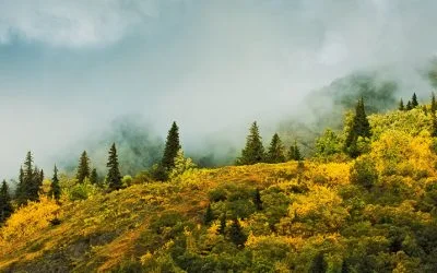 Cloud backup of photos