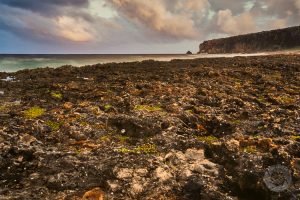Cayman Brac bluffs