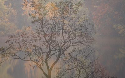 You Can’t Photograph Nature