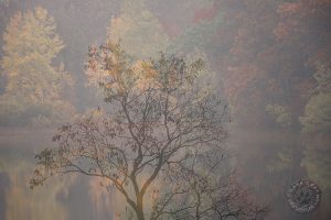 fall wall art