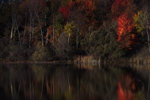 tranquil fall color landscape