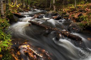 Michigan river photo
