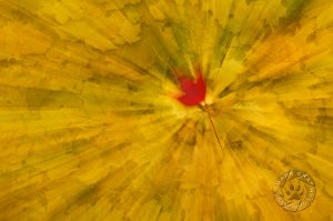 fall leaf abstract wall art