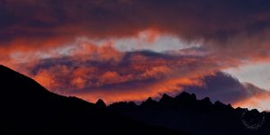 sunset in Denali National Park