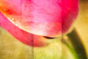 flower wall art