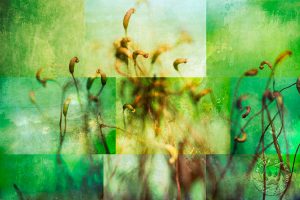 moss blooms wall art