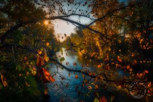 Utica Michigan photos