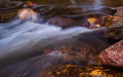 Clinton River Restoration