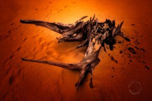 Dune Dragon Yazi