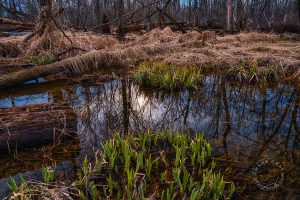 Clinton River Watershed