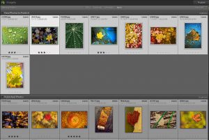 next gen gallery LR plugin