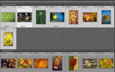 Workflow NextGen and Lightroom