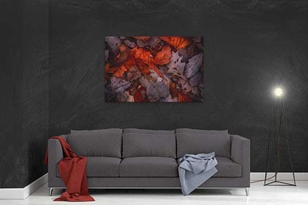 nature wall art on canvas