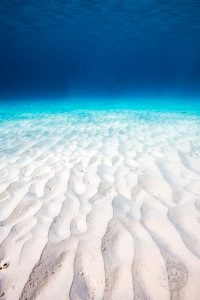 Bonaire underwater white sand WA9397