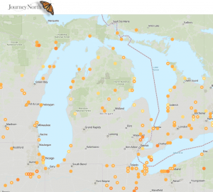 monarch migration reports