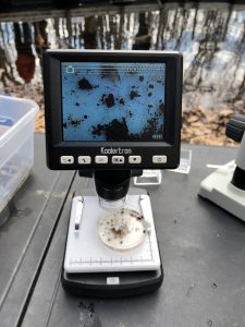 field microscope