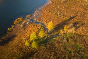 Autumn in Northern Shiawassee Basin Preserve