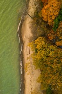 autumn aerial abstract photo
