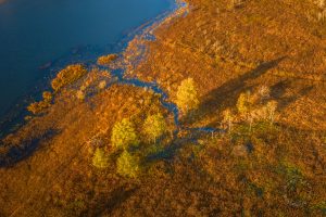 Davis lake overlook Springfield township