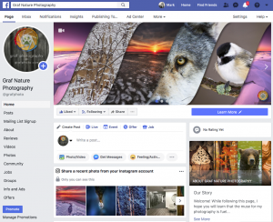 An older style Facebook Page, Facebook Pages need to better respect copyright