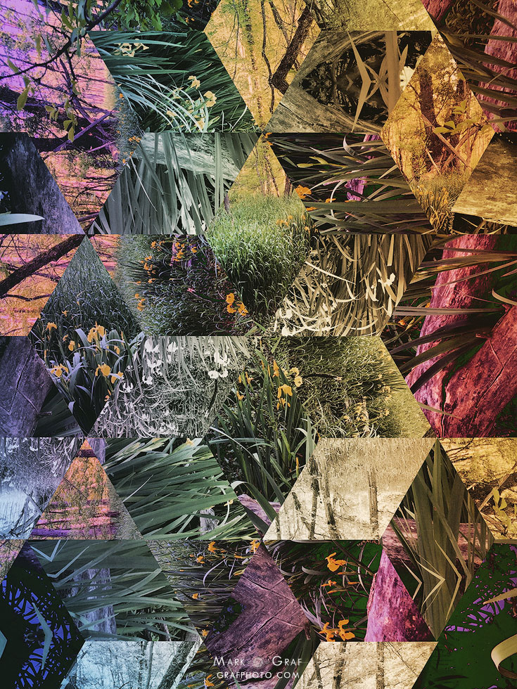 nature triangles