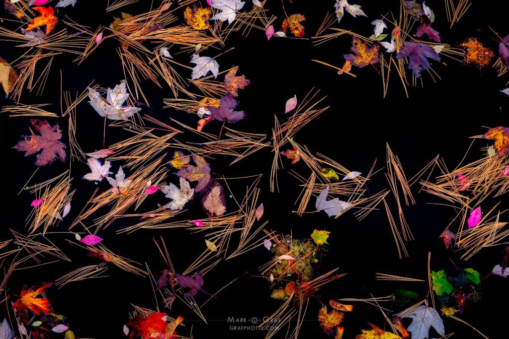 Autumn pond abstract photo