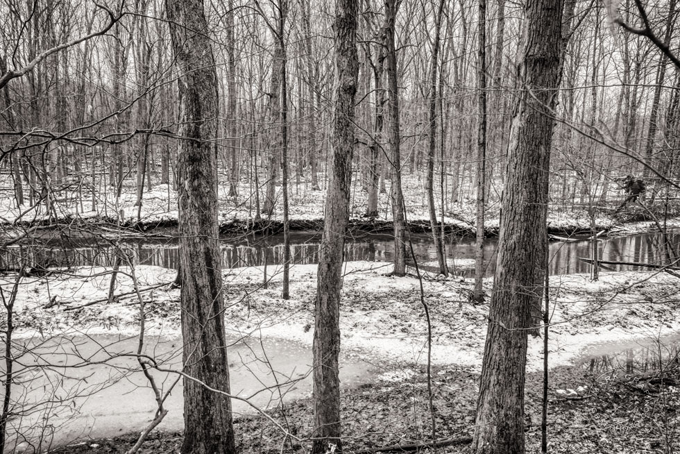 Winter forest and Pine River, St. Clair County, Michigan