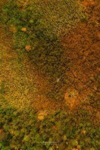 aerial photographs nature patterns