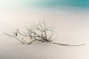 adrift