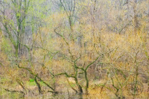 colors of spring - textures