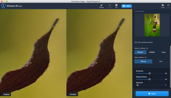 Topaz Sharpen AI good for macro photos