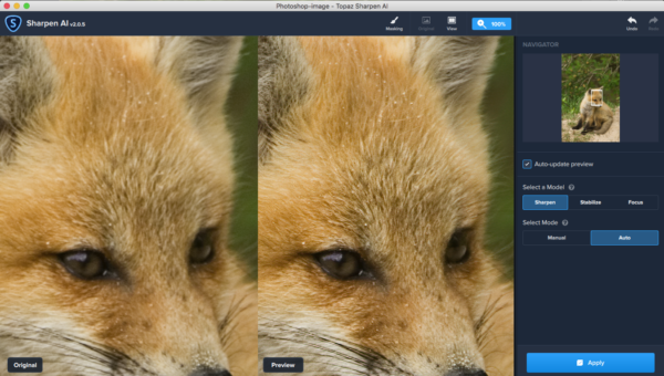 using Topaz Sharpen AI for wildlife photography