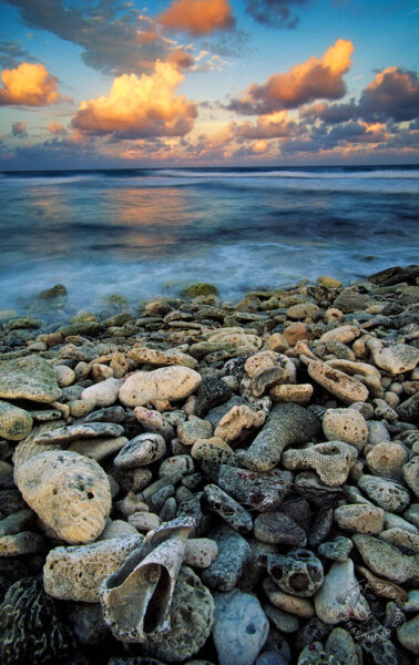 cayman brac coral beach photo