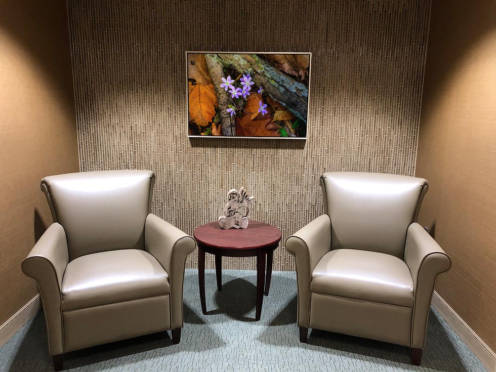 healing and therapeutic art for health care healing nature photos