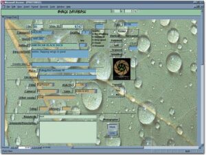photo organization database